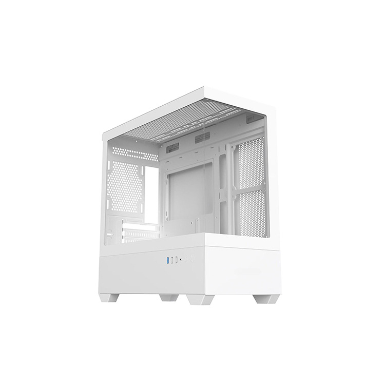 AMELM1 white