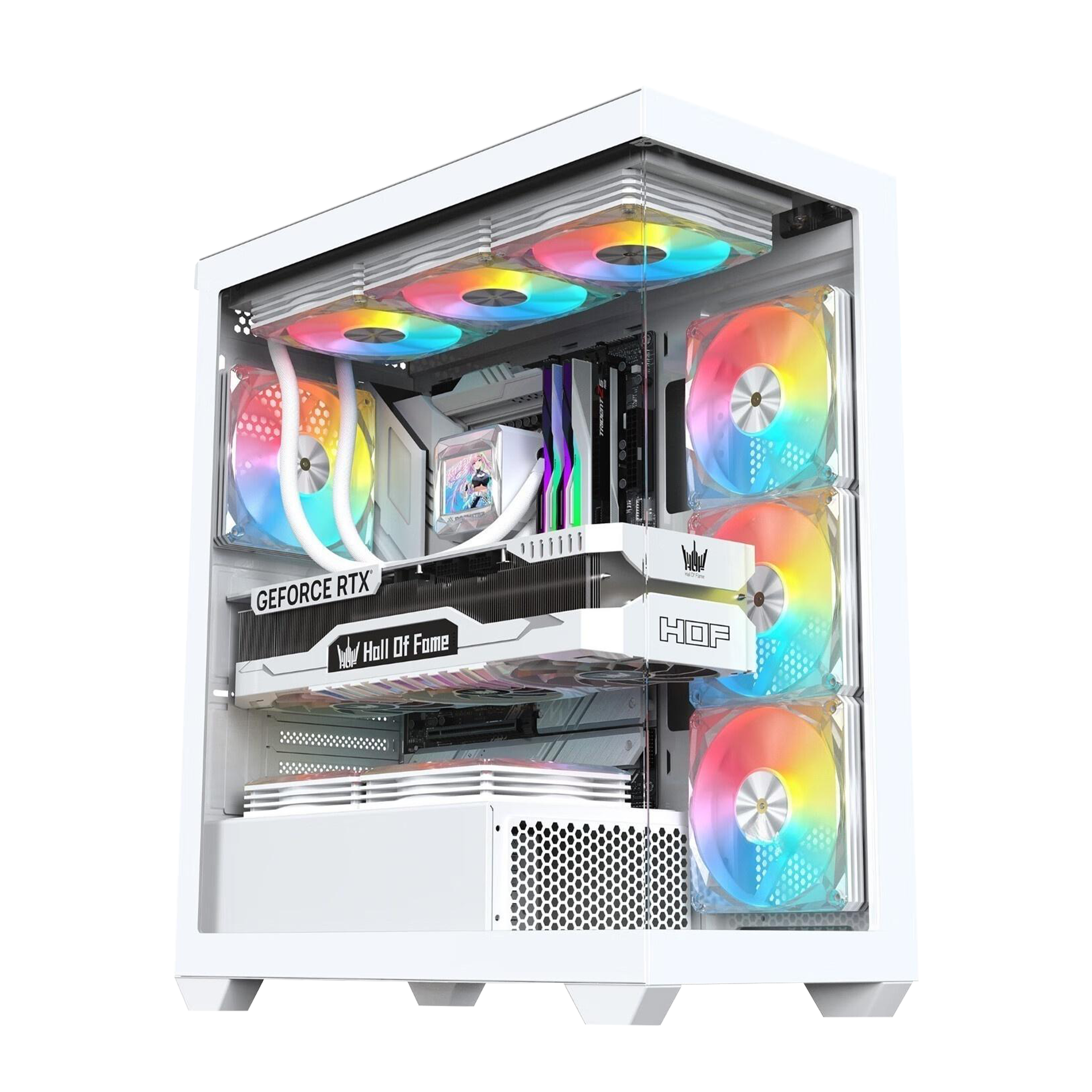 AAEL2 white