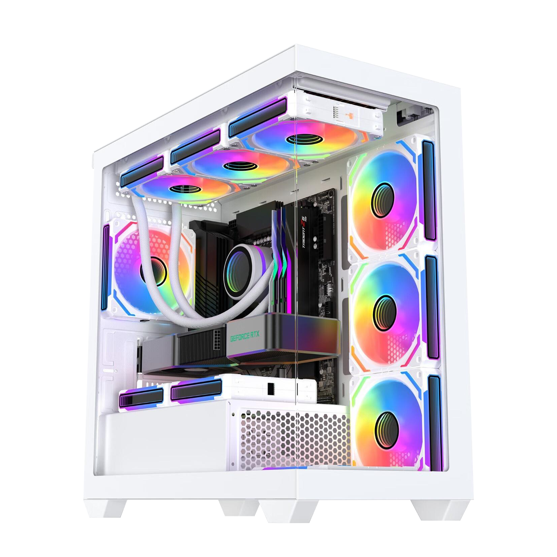 AMELM2 white